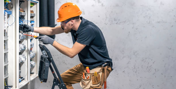 Best Electric Panel Repair  in River Falls, WI
